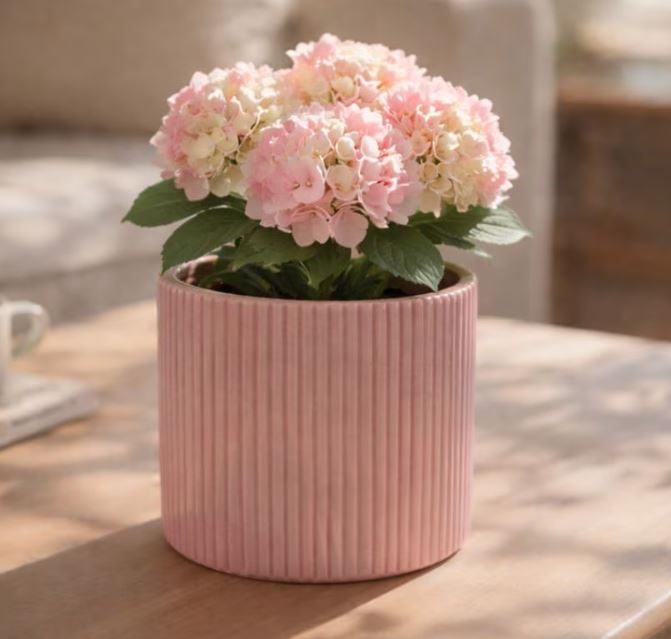 doniczka ceramiczna